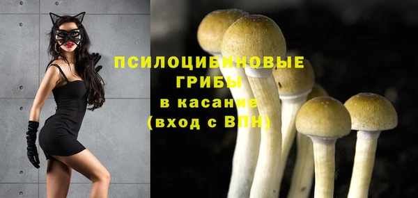 mdma Няндома