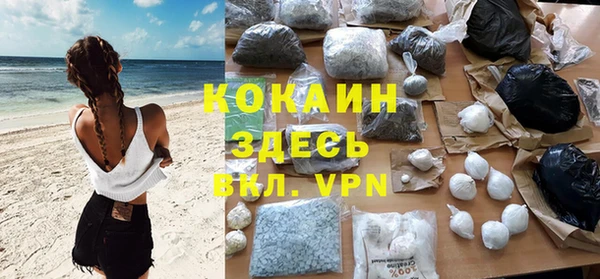 сатива Нягань
