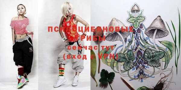 сатива Нягань