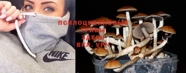 сатива Нягань