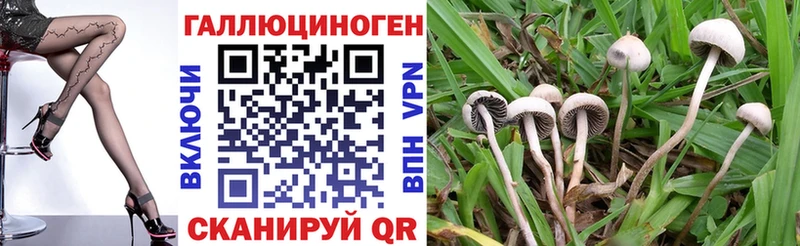 сайты даркнета наркотические препараты ОМГ ОМГ как войти Углич Псилоцибиновые грибы GOLDEN TEACHER