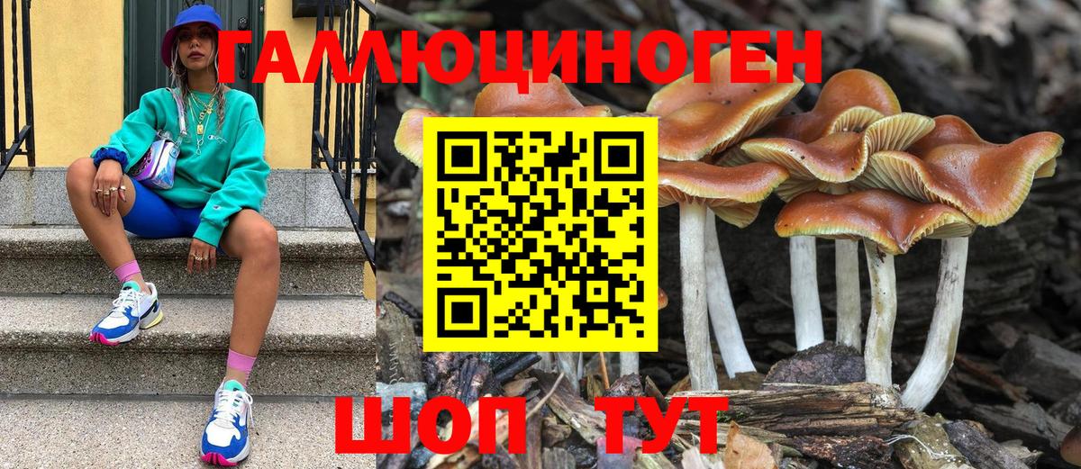 Псилоцибиновые грибы Magic Shrooms  Псилоцибиновые грибы прущие грибы  Вход с VPN  Углич 